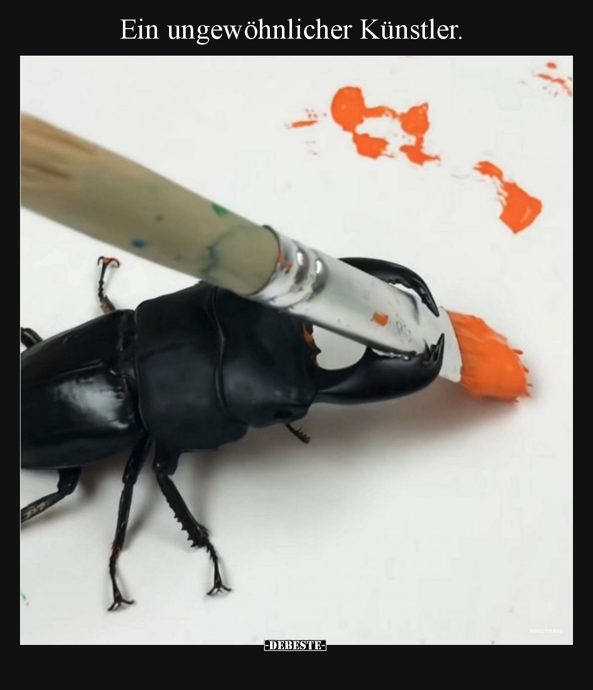 Ein ungewöhnlicher Künstler