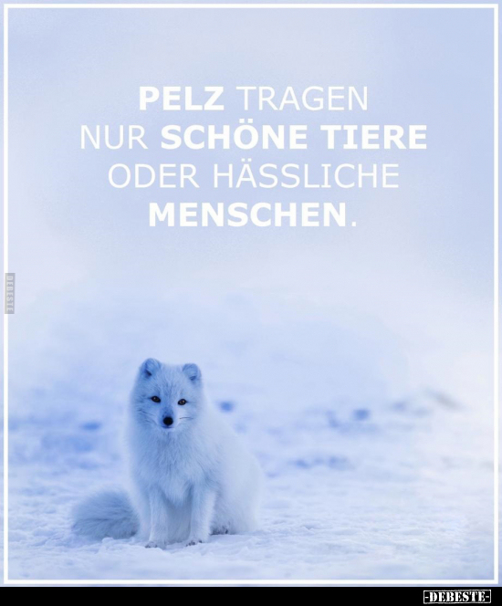 Pelz tragen nur schöne Tiere oder hässliche Menschen.. - Lustige Bilder | DEBESTE.de