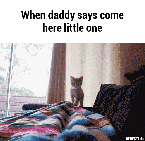 ^~^ - Lustige Bilder | DEBESTE.de