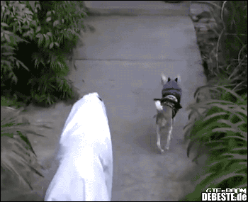  - Lustige Bilder | DEBESTE.de