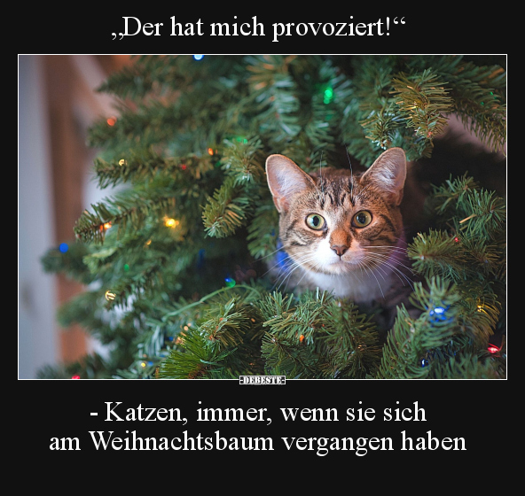 "Der hat mich provoziert!".. - Lustige Bilder | DEBESTE.de