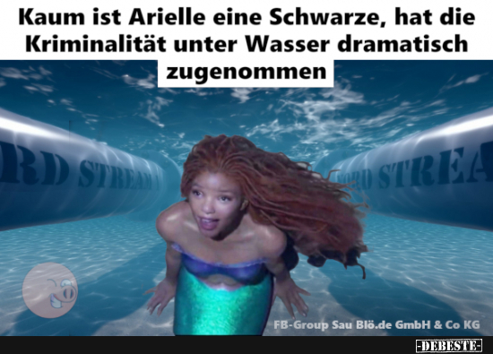 Black Arielle - Lustige Bilder | DEBESTE.de