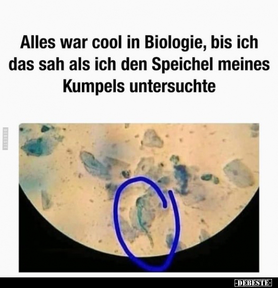 Alles war cool in Biologie, bis ich das sah als ich den.. - Lustige Bilder | DEBESTE.de