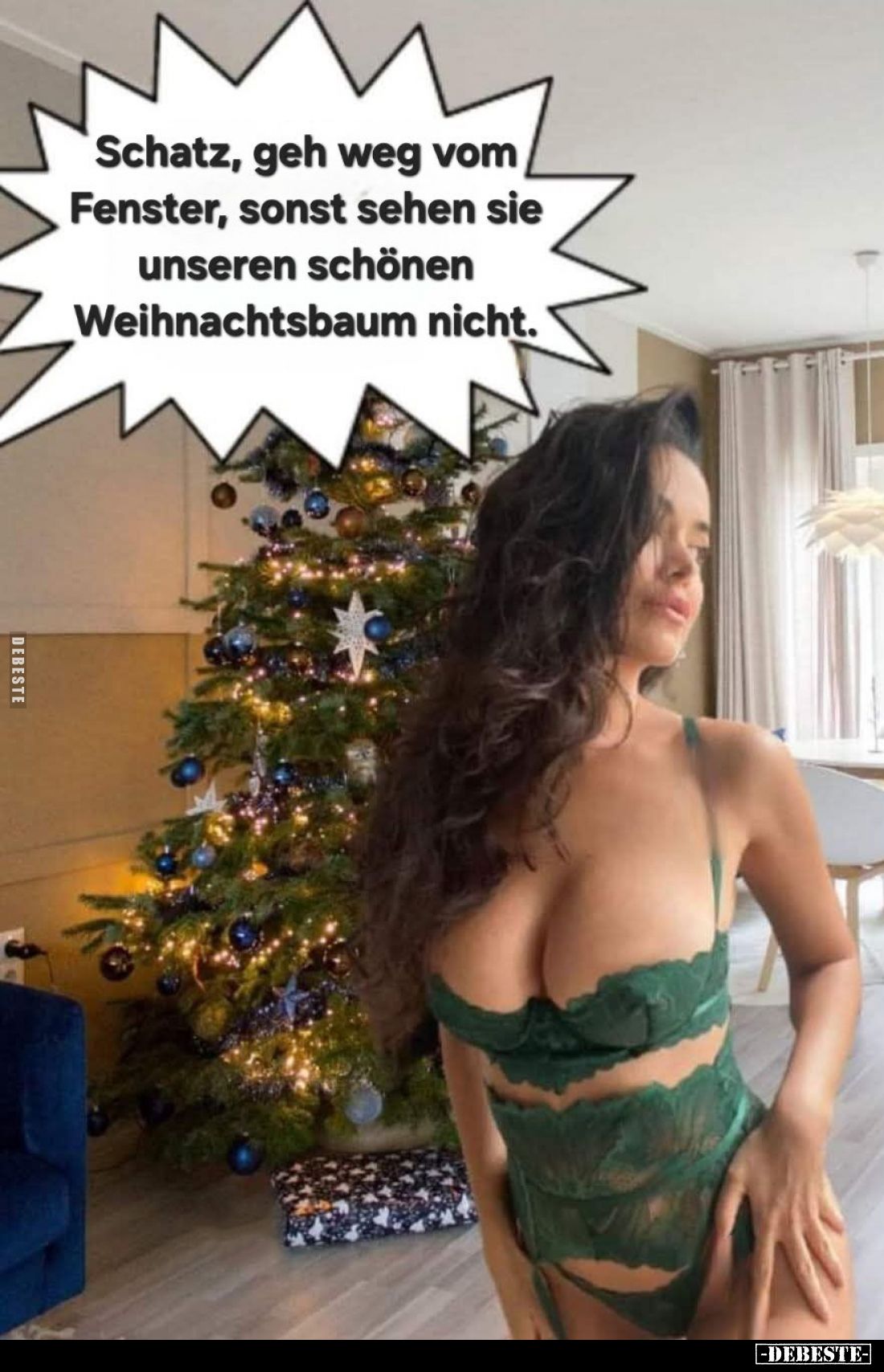 Schatz, geh weg vom Fenster, sonst sehen sie unseren schönen Weihnachtsbaum nicht.
