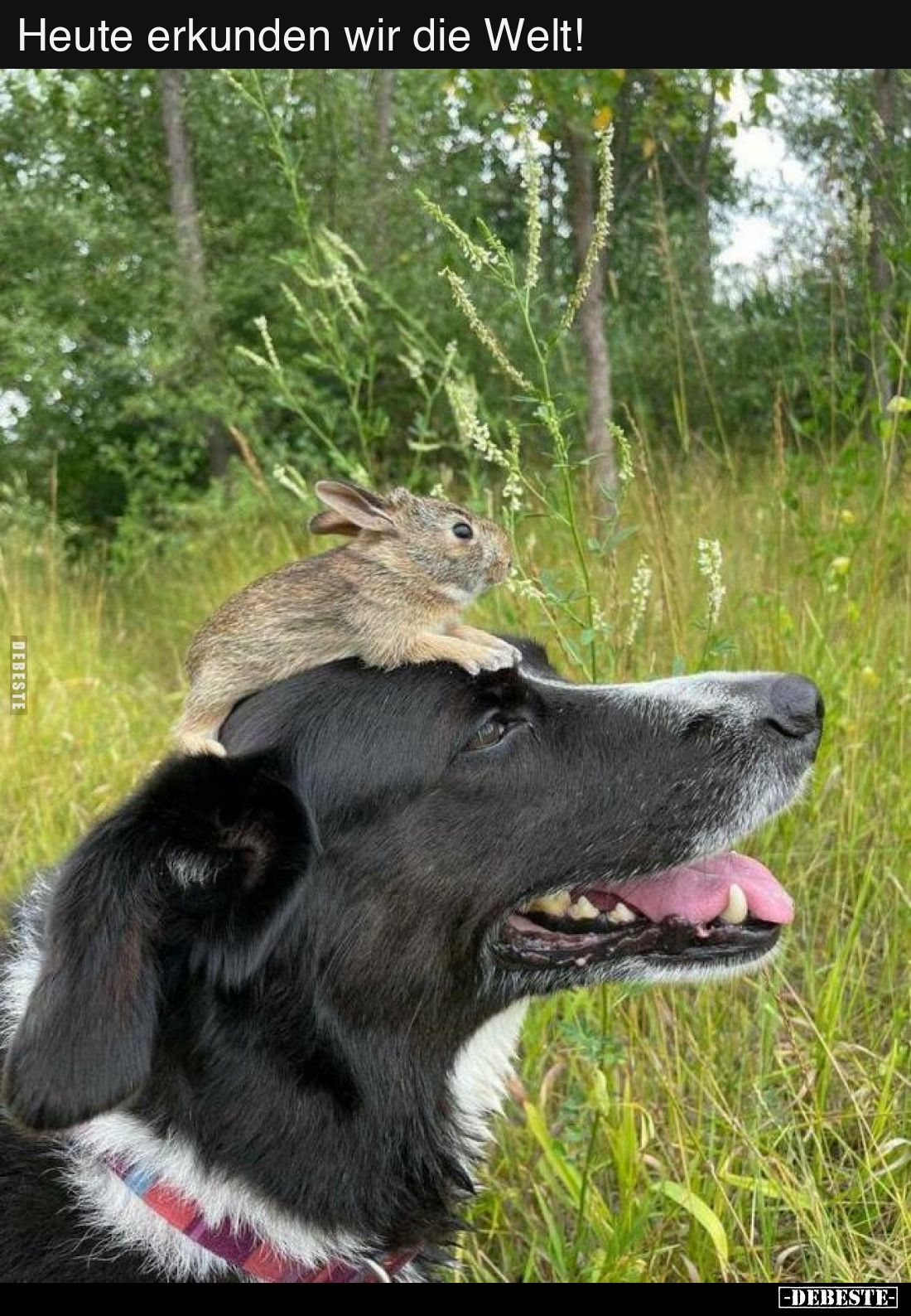 Heute erkunden wir die Welt!..