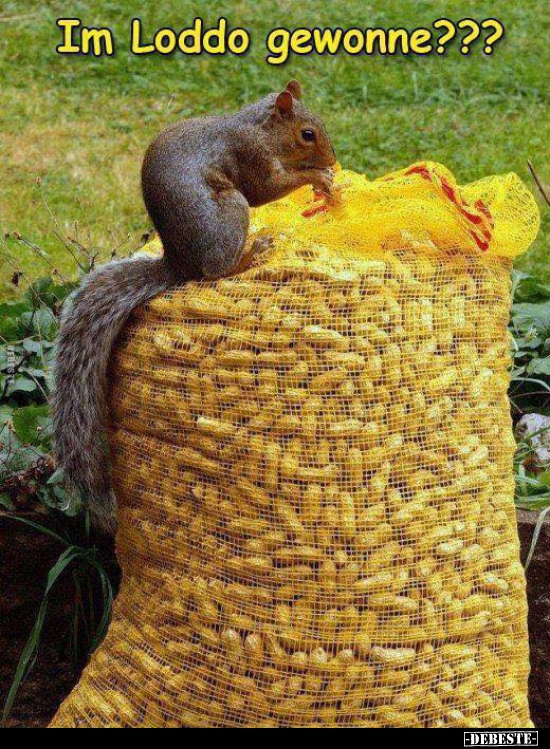 Im Loddo gewonne?