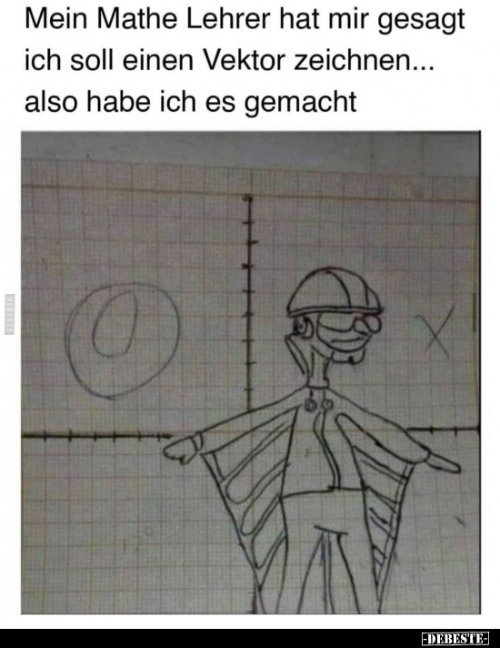 Mein Mathe Lehrer hat mir gesagt ich soll einen Vektor.. - Lustige Bilder | DEBESTE.de