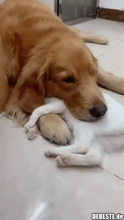 Leg das wieder so hin, wie es davor war!