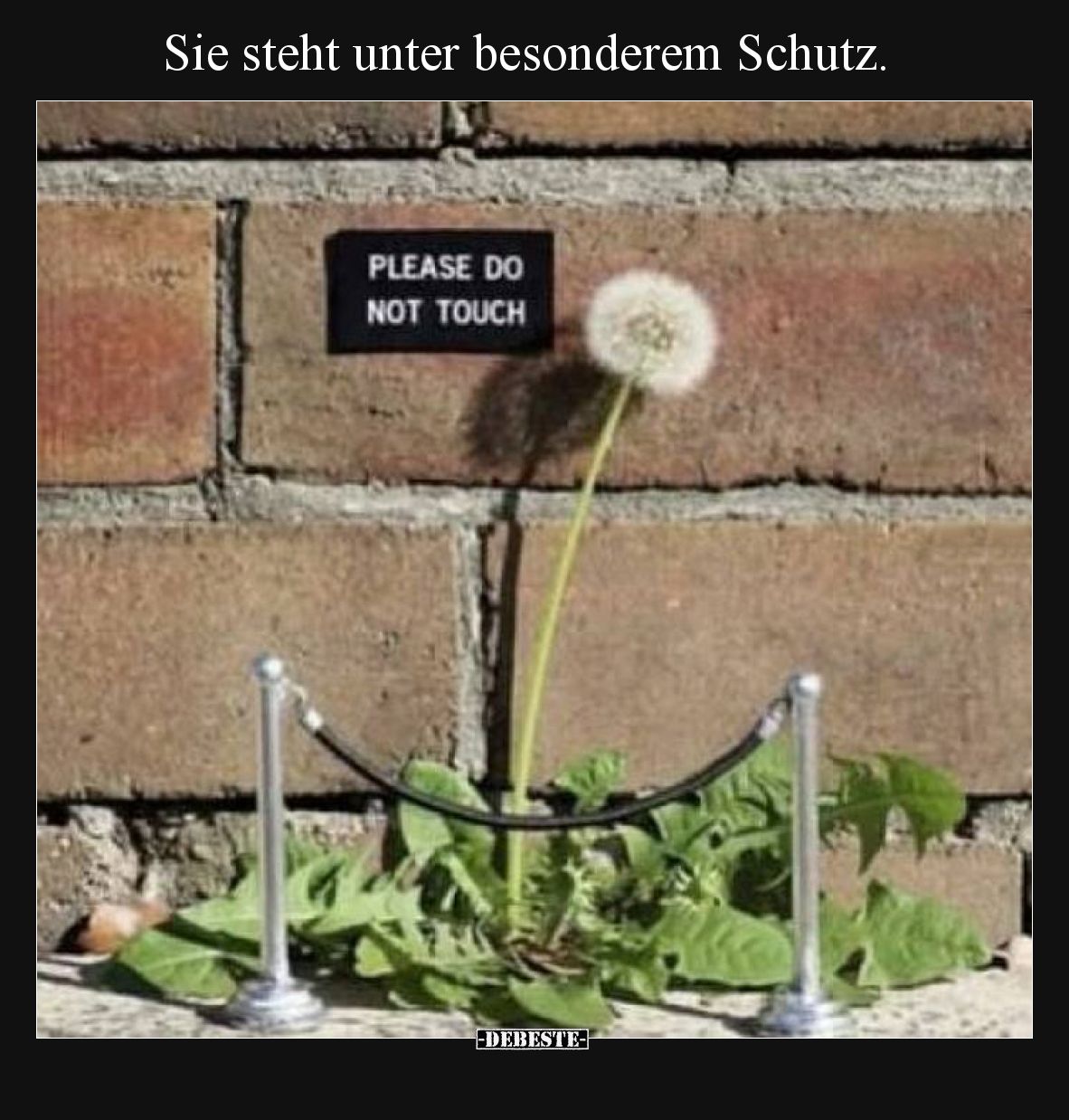 Sie steht unter besonderem Schutz.