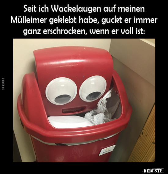 Seit ich Wackelaugen auf meinen Mülleimer.. - Lustige Bilder | DEBESTE.de