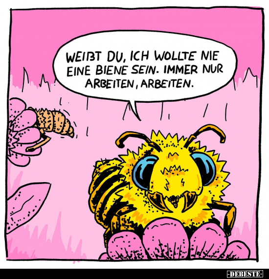 Weißt du, ich wollte nie eine Biene sein.. - Lustige Bilder | DEBESTE.de