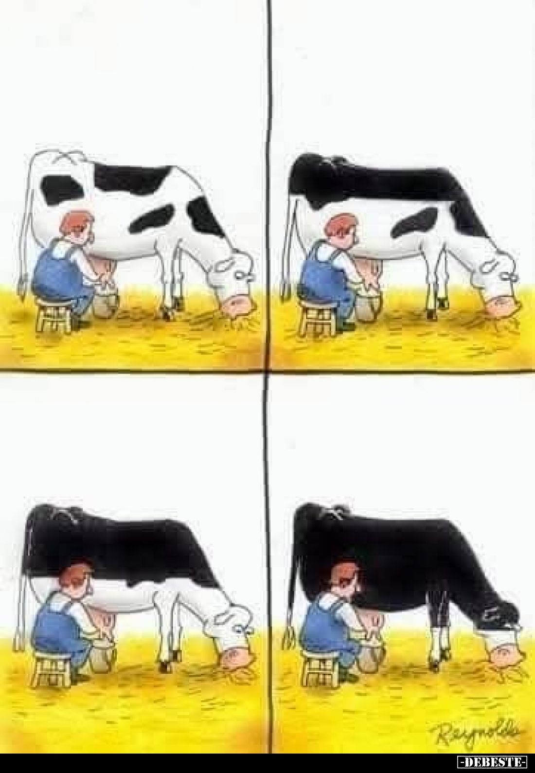  - Lustige Bilder | DEBESTE.de