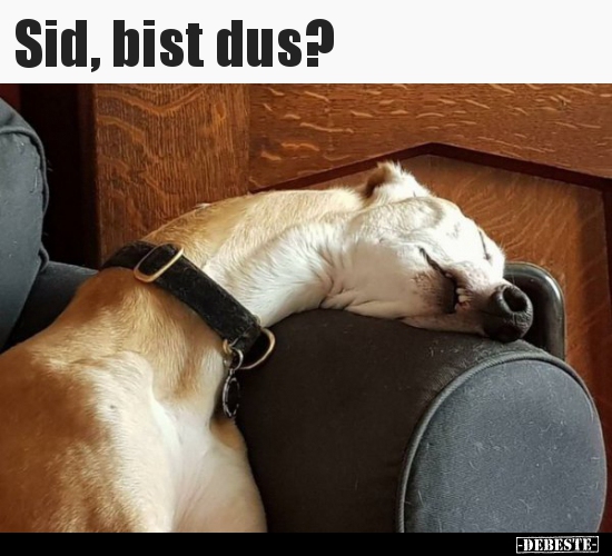Sid, bist dus?..