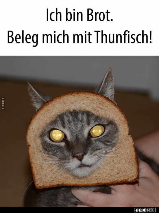 Ich bin Brot. Beleg mich mit Thunfisch!.. - Lustige Bilder | DEBESTE.de