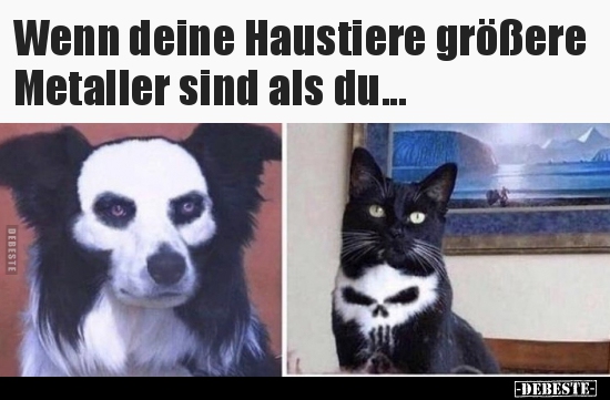 Wenn deine Haustiere größere Metaller sind als du... - Lustige Bilder | DEBESTE.de