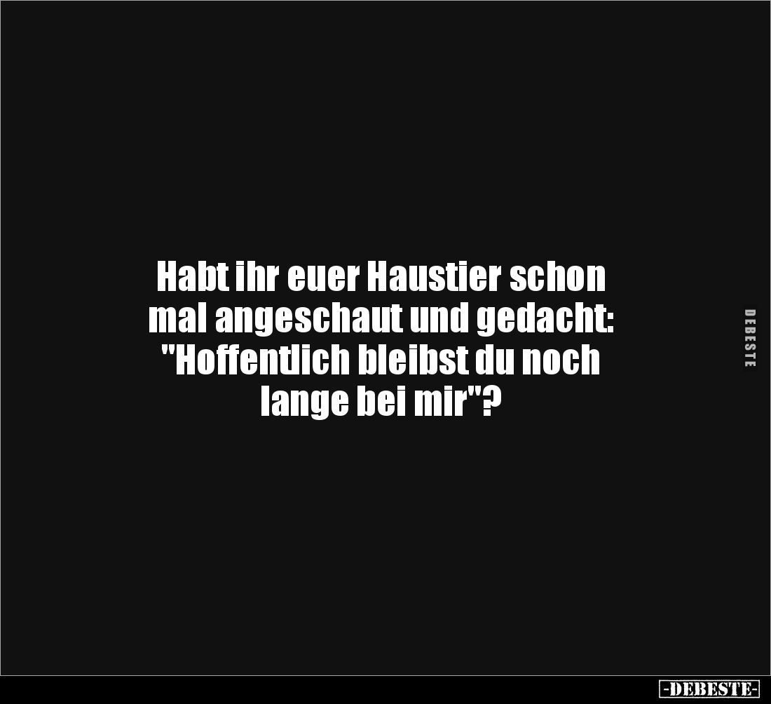 Habt ihr euer Haustier schon 
mal angeschaut und gedacht: 
"Hoffentlich bleibst du noch 
lange bei mir"?