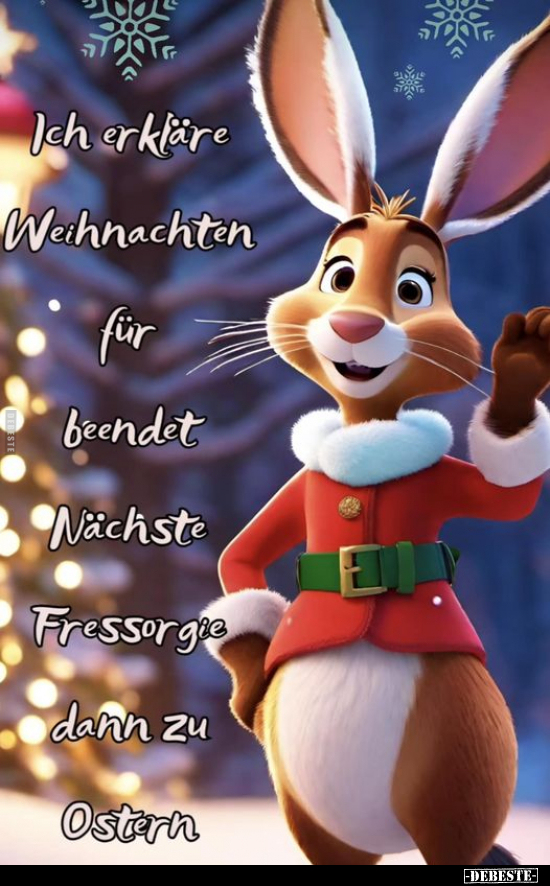 Ich erkläre Weihnachten für beendet.. - Lustige Bilder | DEBESTE.de