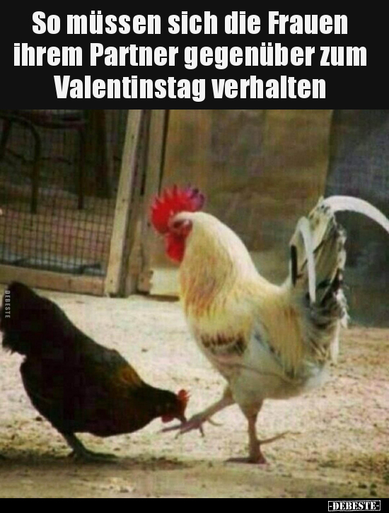 Frauen, Partner, Valentinstag