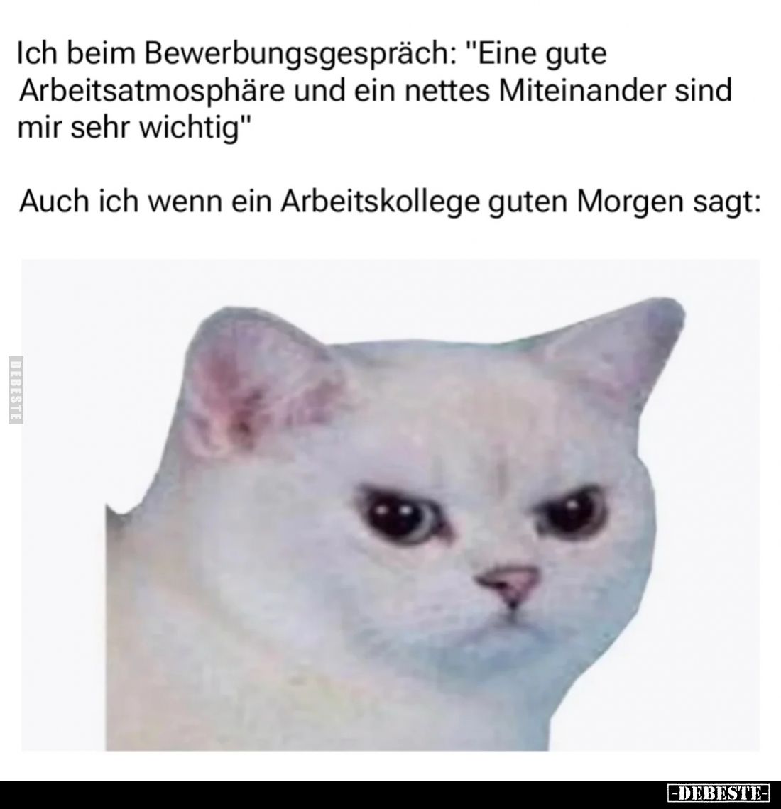 Ich beim Bewerbungsgespräch: "Eine gute 
Arbeitsatmosphäre und ein nettes Miteinander sind mir sehr wichtig." - 
...