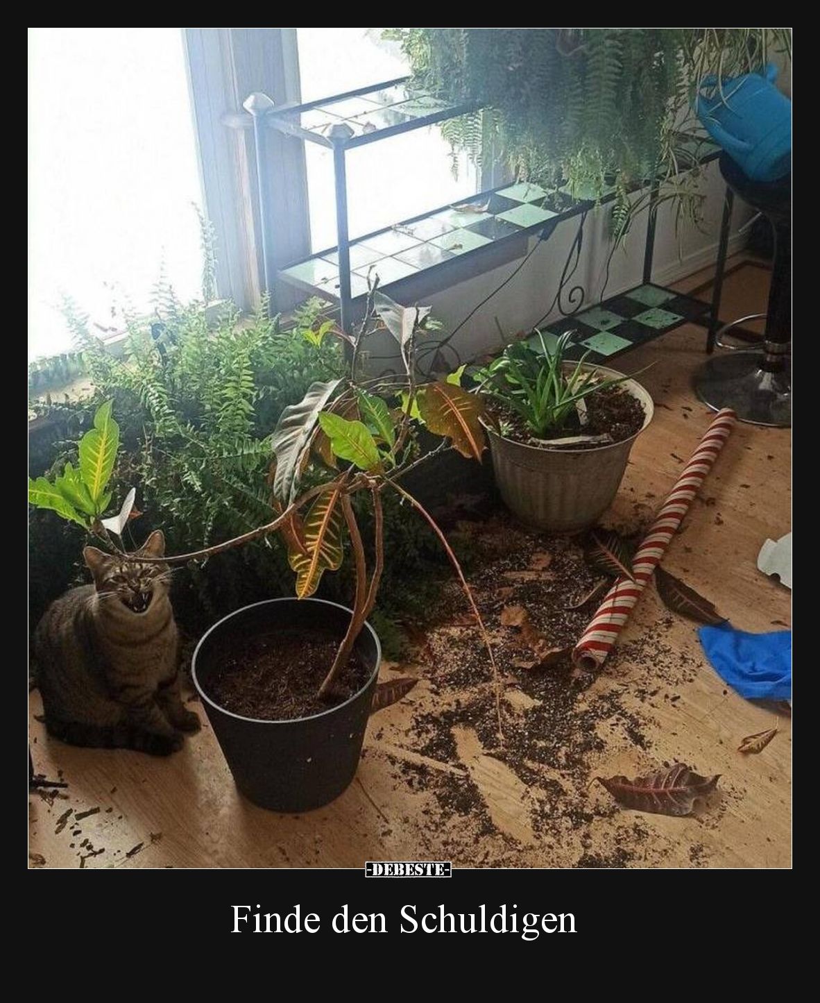 Finde den Schuldigen..