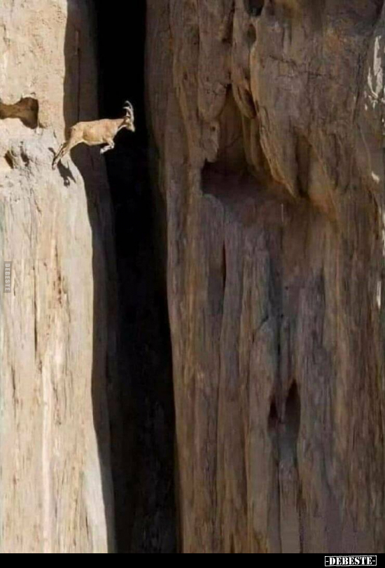  - Lustige Bilder | DEBESTE.de