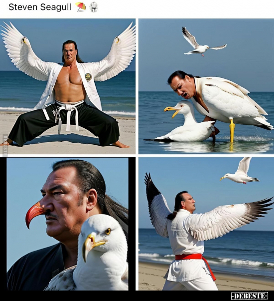 Steven Seagull