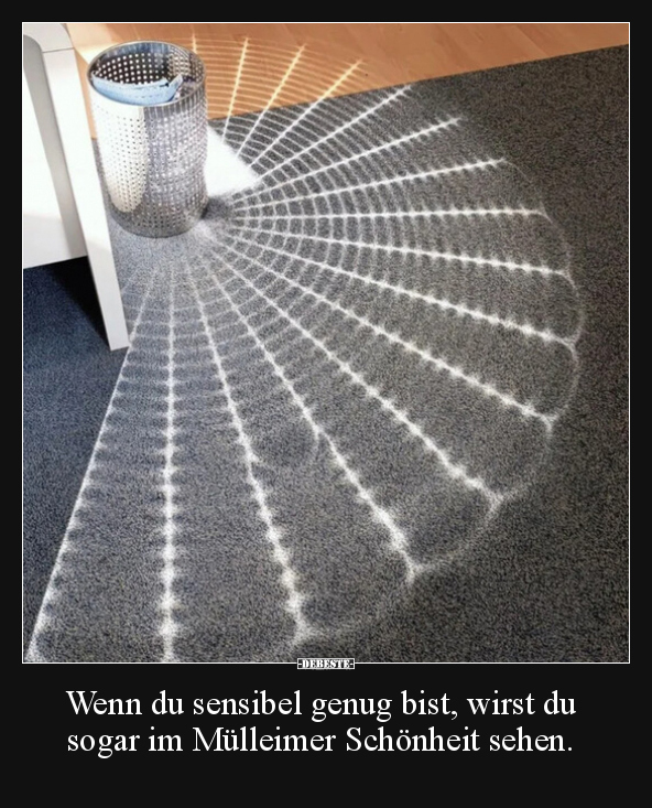 Wenn du sensibel genug bist, wirst du sogar im Mülleimer.. - Lustige Bilder | DEBESTE.de