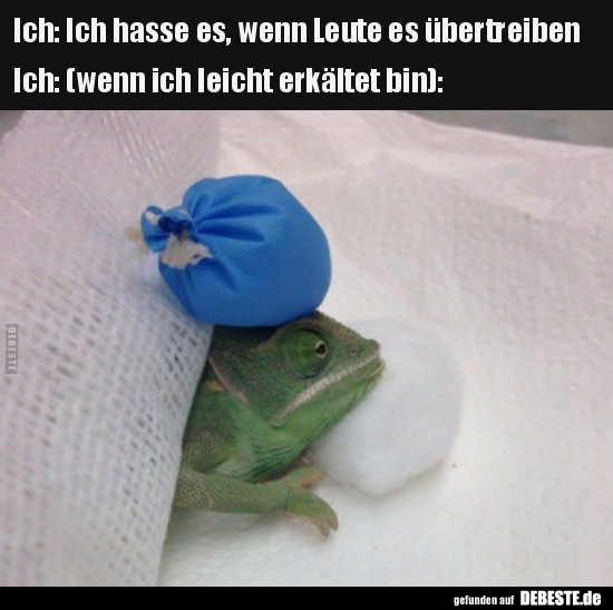 Ich: Ich hasse es, wenn Leute es übertreiben..