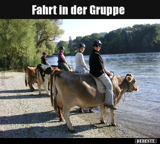 Fahrt in der Gruppe.. - Lustige Bilder | DEBESTE.de