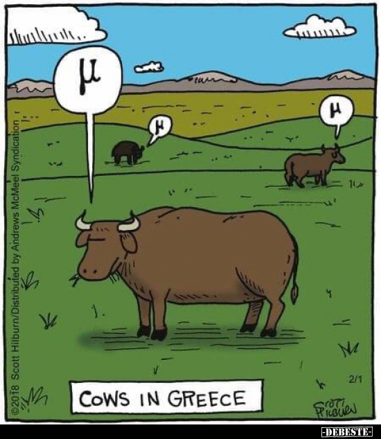 Cows in Greece.