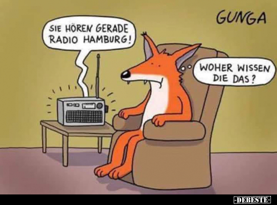 Sie hören gerade Radio Hamburg!.. - Lustige Bilder | DEBESTE.de