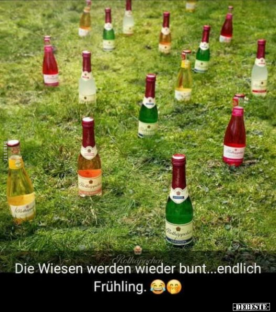 Die Wiesen werden wieder bunt.. - Lustige Bilder | DEBESTE.de