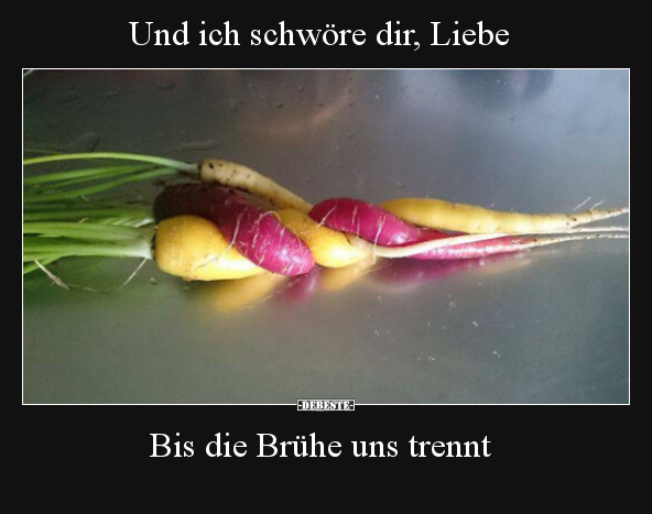 Und ich schwöre dir, Liebe...  Bis die Brühe uns trennt.