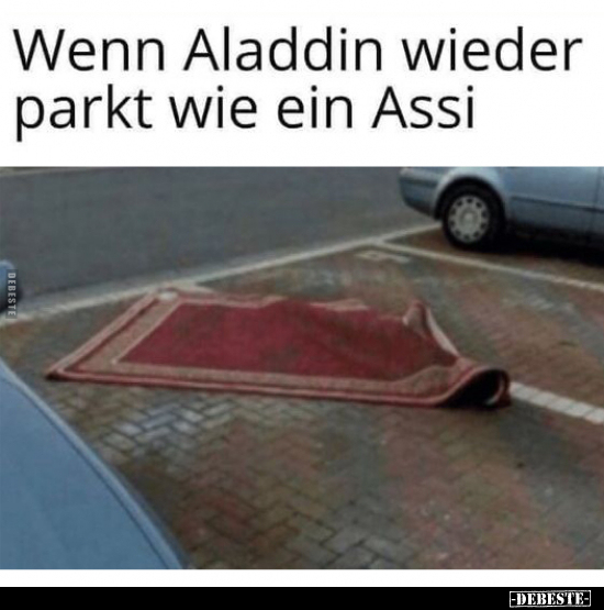 Wenn Aladdin wieder parkt wie ein Assi.. - Lustige Bilder | DEBESTE.de