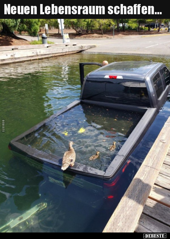 Neuen Lebensraum schaffen...
