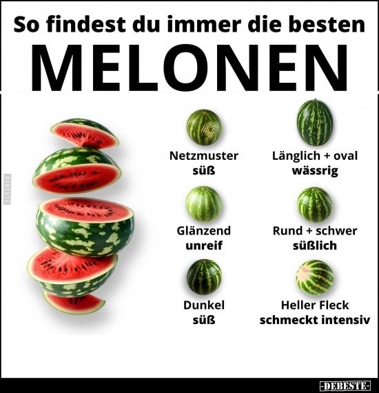 So findest du immer die besten MELONEN.. - Lustige Bilder | DEBESTE.de