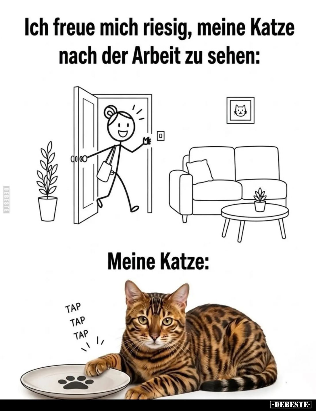 Ich freue mich riesig, meine Katze nach der Arbeit zu sehen:/
Meine Katze: