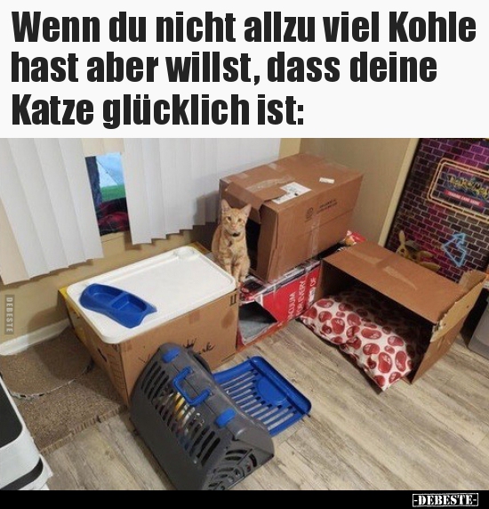 Wenn du nicht allzu viel Kohle hast aber willst, dass deine.. - Lustige Bilder | DEBESTE.de