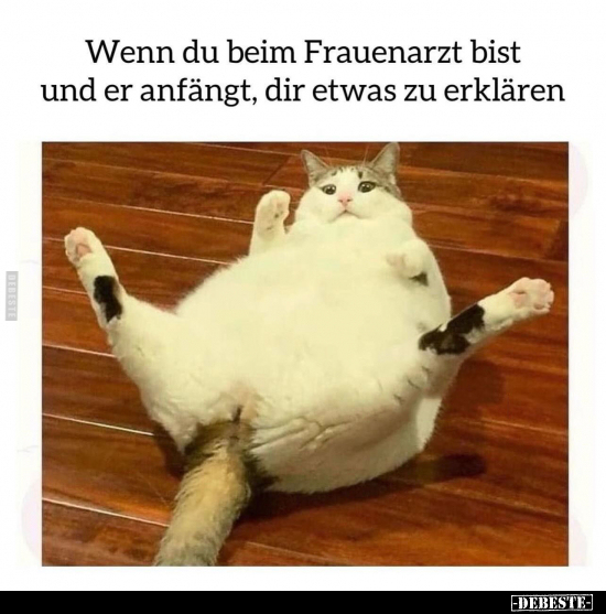 Wenn du beim Frauenarzt bist und er anfängt, dir etwas zu erklären.. - Lustige Bilder | DEBESTE.de