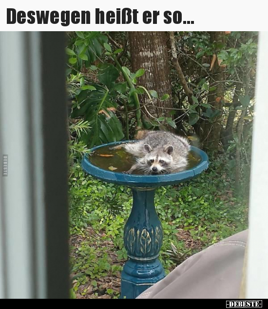 Deswegen heißt er so...