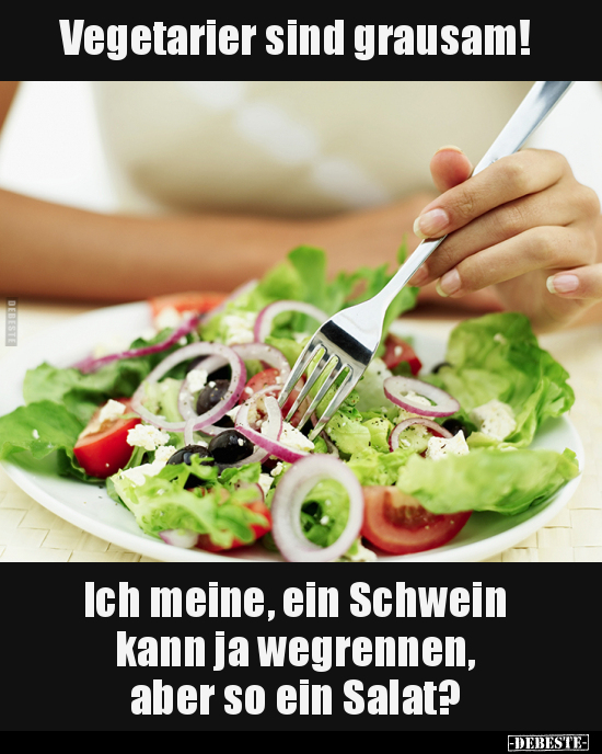 Vegetarier, Schwein, Salat