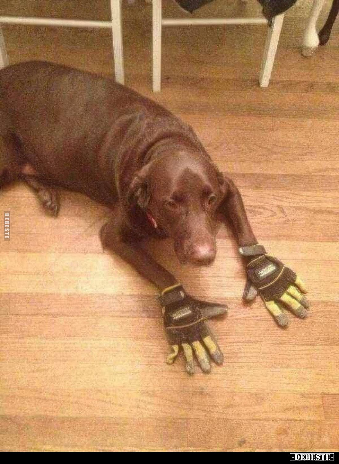  - Lustige Bilder | DEBESTE.de