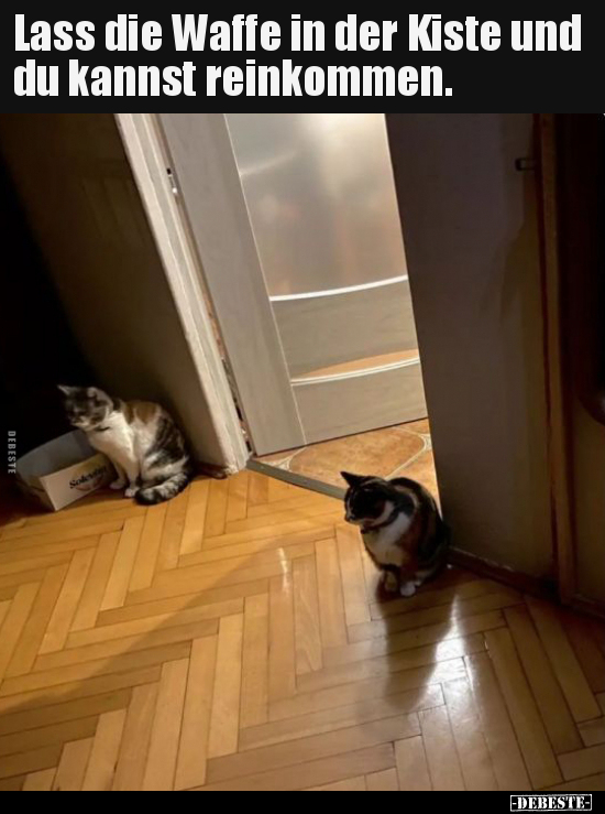Lass die Waffe in der Kiste und du kannst reinkommen