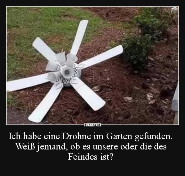 Ich habe eine Drohne im Garten gefunden. Weiß jemand, ob.. - Lustige Bilder | DEBESTE.de