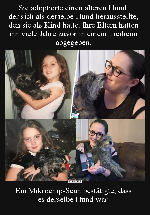 Sie adoptierte einen älteren Hund, der sich als derselbe.. - Lustige Bilder | DEBESTE.de