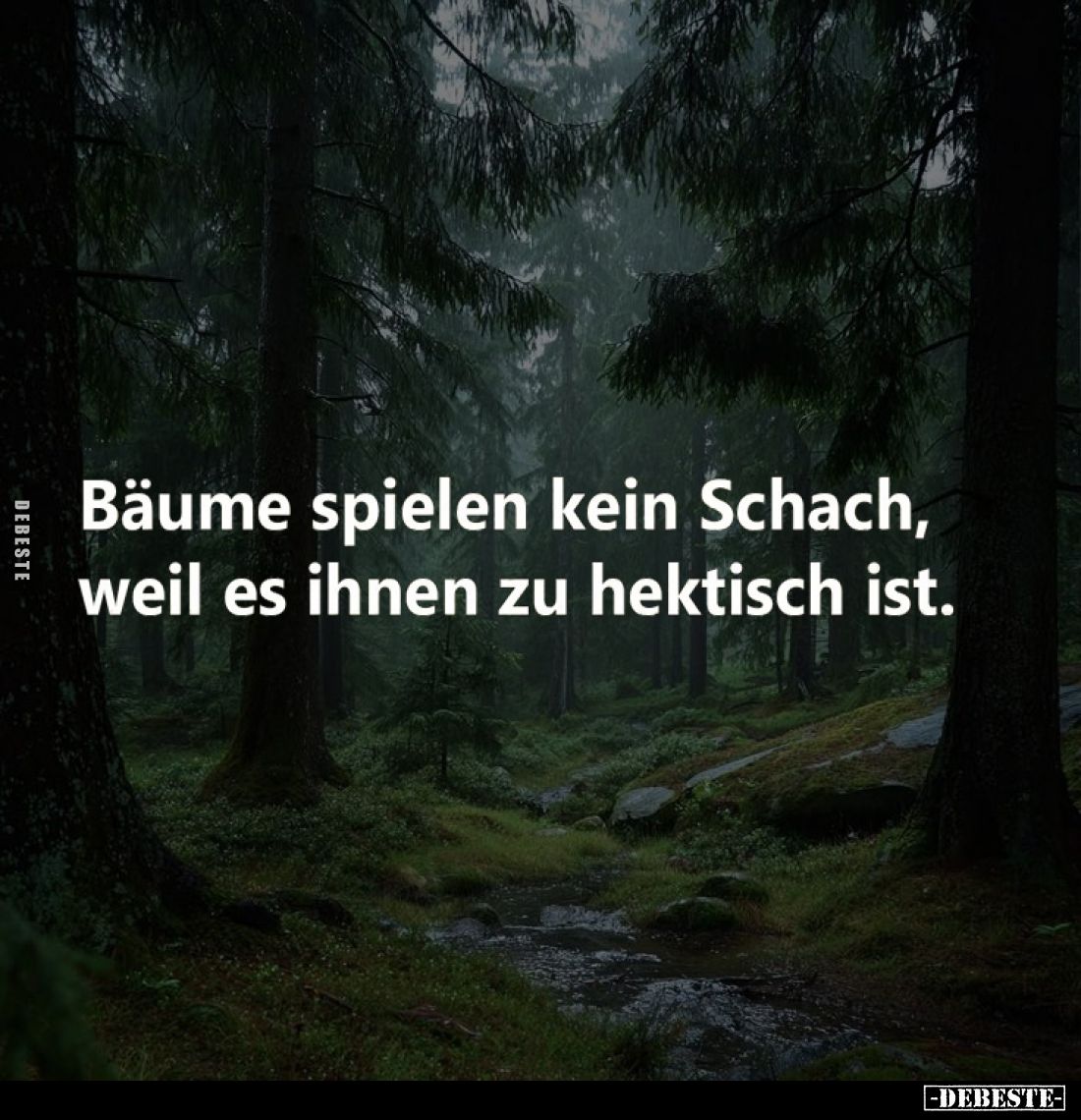 Bäume spielen kein Schach, weil es ihnen zu hektisch ist.
