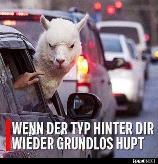 Wenn der Typ hinter dir wieder grundlos hupt... - Lustige Bilder | DEBESTE.de