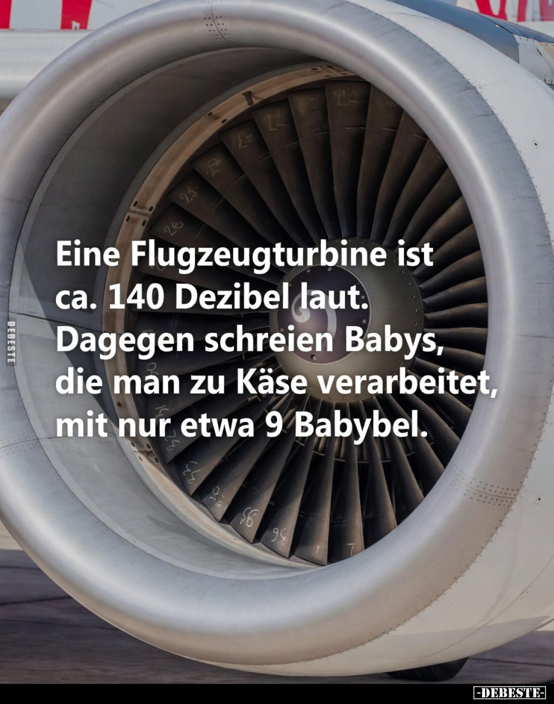 Eine Flugzeugturbine ist ca. 140 Dezibel laut.
Dagegen schreien Babys, die man zu Käse verarbeitet, mit nur etwa 9 Babybel.