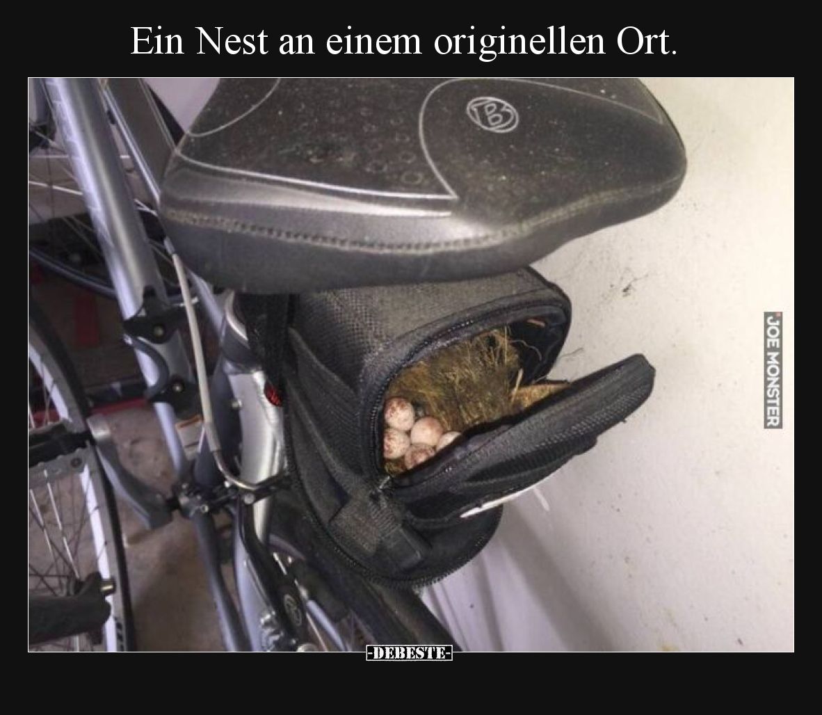 Ein Nest an einem originellen Ort.