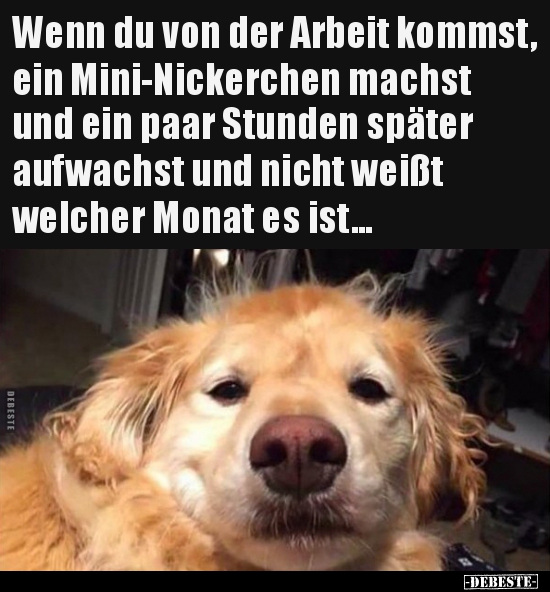 Wenn du von der Arbeit kommst, ein Mini-Nickerchen..